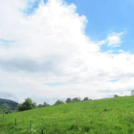 Charming With Garden In Tabarz * Cabarz